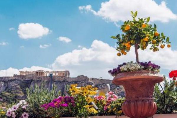 Carnal Athens - Ετοιμάζω Γάμο