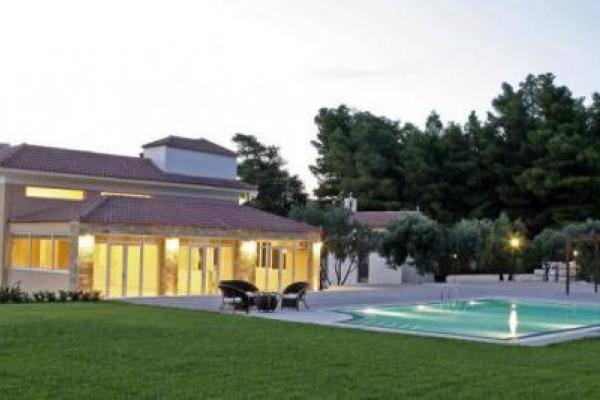 Δεξίωση Γάμου Παλλήνη