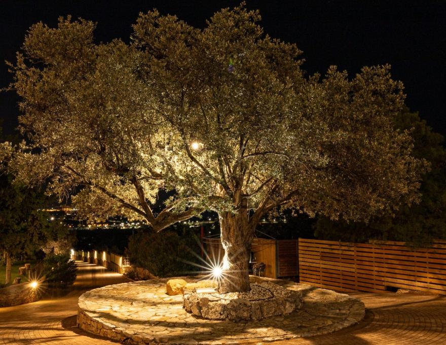 Δεξίωση γάμου - Κτήμα Μυρρινούς