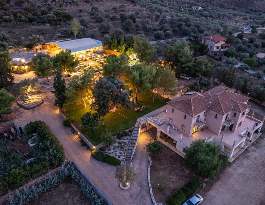 Δεξίωση γάμου - Κτήμα Μυρρινούς