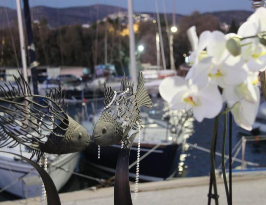 ΙστιοπλοΙκός Βούλας - Aitna Catering- Δεξίωση Γάμου