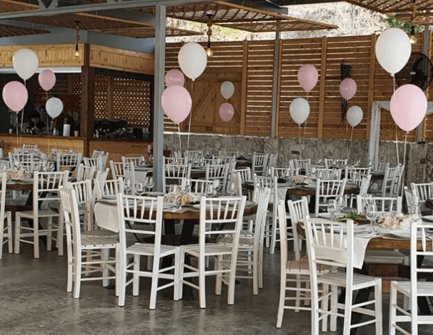 Κτήμα Αξιού Θέασις -Δεξίωση Γάμου- Θεσσαλονίκη