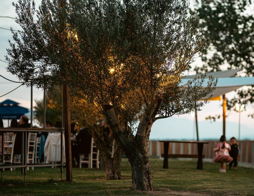 Κτήμα Αξιού Θέασις -Δεξίωση Γάμου- Θεσσαλονίκη