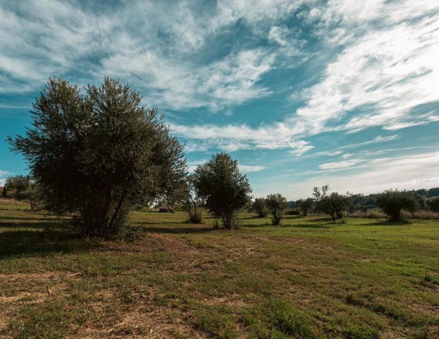 Κτήμα Αξιού Θέασις -Δεξίωση Γάμου- Θεσσαλονίκη