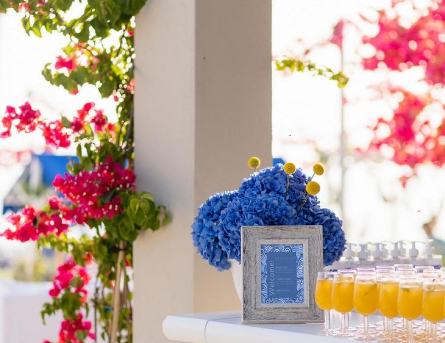 Moving Spirits Barcatering