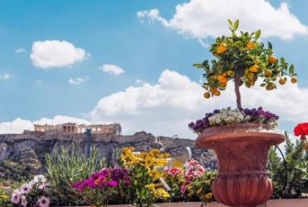 Carnal Athens - Ετοιμάζω Γάμο