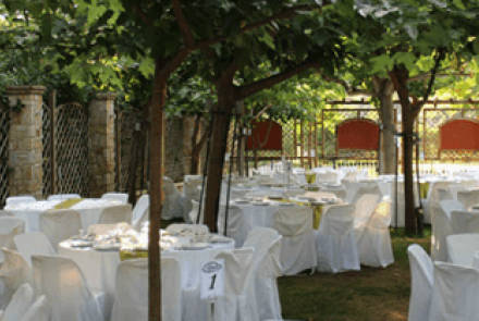 Δεξίωση Γάμου Παντέλη ο Τέλης